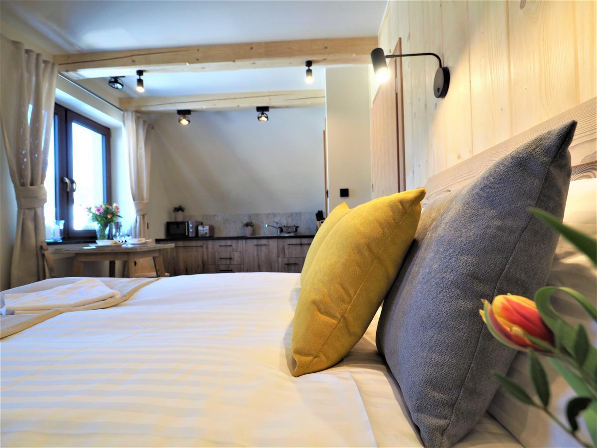 Vip Apartamenty Villa Gorskie Klimaty Zakopane Extérieur photo